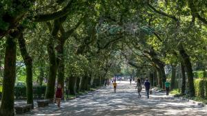 El ideal gallego